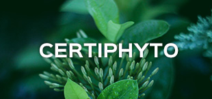 certiphyto